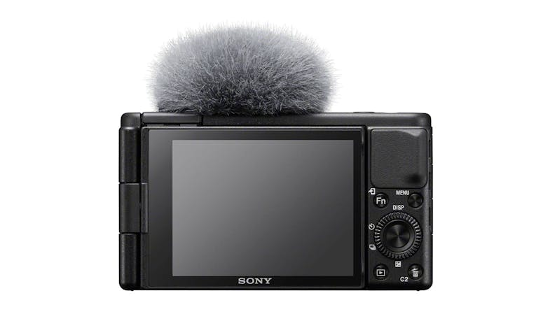 Sony Digital Camera ZV-1 - Screen