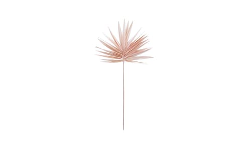 Palm Fan Pink (FW102P) - Main