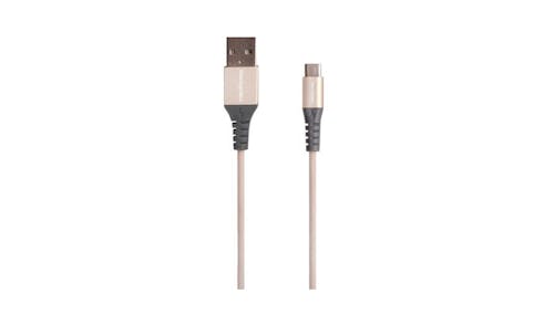 The Coopidea 1m Flex Type C Cable - Gold 01