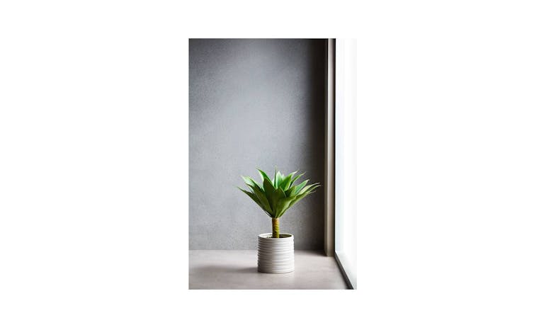 Swing Gift Agave 48cm Ribbed Pot-01 Swing Gift Agave 48cm Ribbed Pot-01