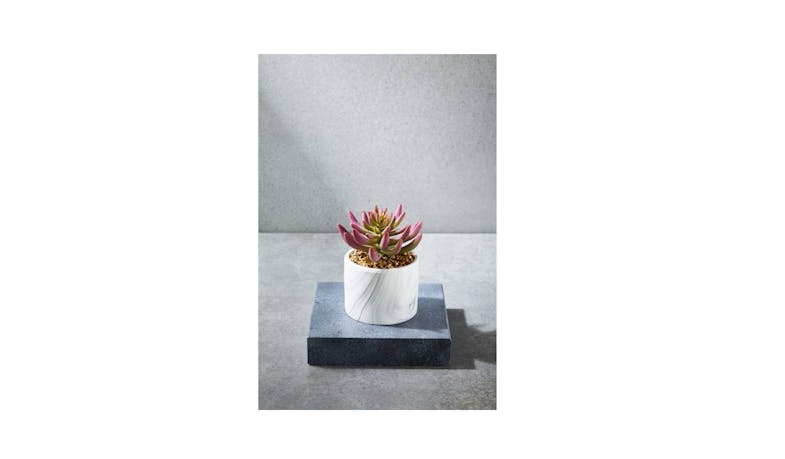 Swing Gift Succulent Marble Pot - Purple-01 Swing Gift Succulent Marble Pot - Purple-01