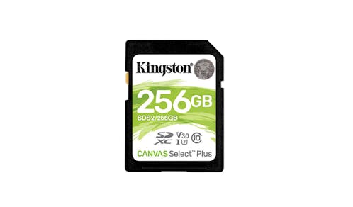 Kingston Canvas Select Plus 256GB Class 10 SD Card