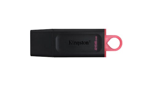 Kingston DataTraveler Exodia USB Flash Drive (256GB) - IMG 1