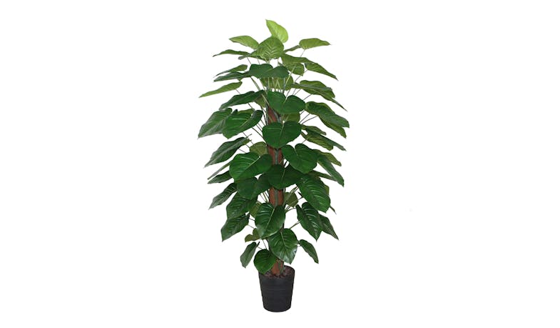 Pothos Pole with Pot - 180cm Pothos Pole with Pot - 180cm