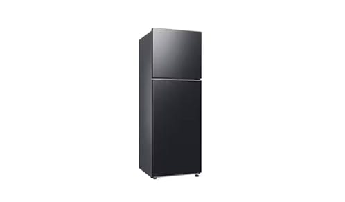 Samsung RT-31CG5022B1ME BL (Net 305L) 2-Door Top Freezer Refrigerator - Main.jpg