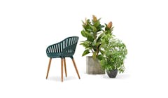 Home Collection Nassau Outdoor Carver Easy Chair - Green