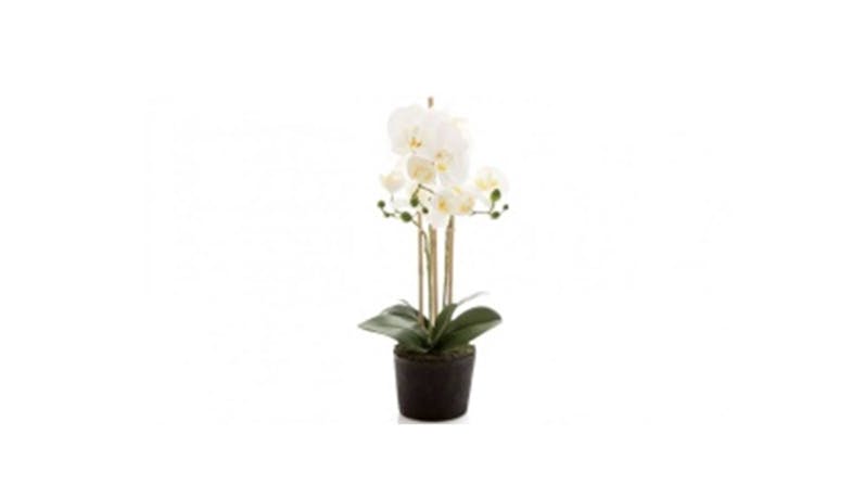 Simone Potted Artificial Orchid - Small (GASMOS).jpg