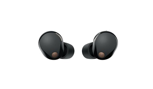 Sony WF-1000XM5BCE Wireless Noise Cancelling Headphones - Black (Main).jpg