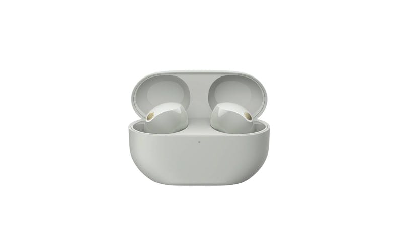 Sony WF-1000XM5SCE Wireless Noise Cancelling Headphones - Silver (2).jpg
