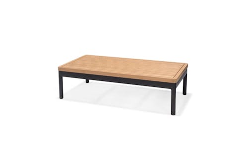 Bendigo 100cm Outdoor Coffee Table (Eucalyptus-Black).jpg