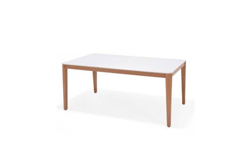Norbury 170cm Outdoor Dining Table (White-Wood).jpg