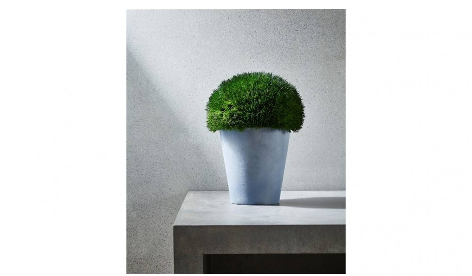 Half Ball Grass In Concrete Pot - Large.jpg