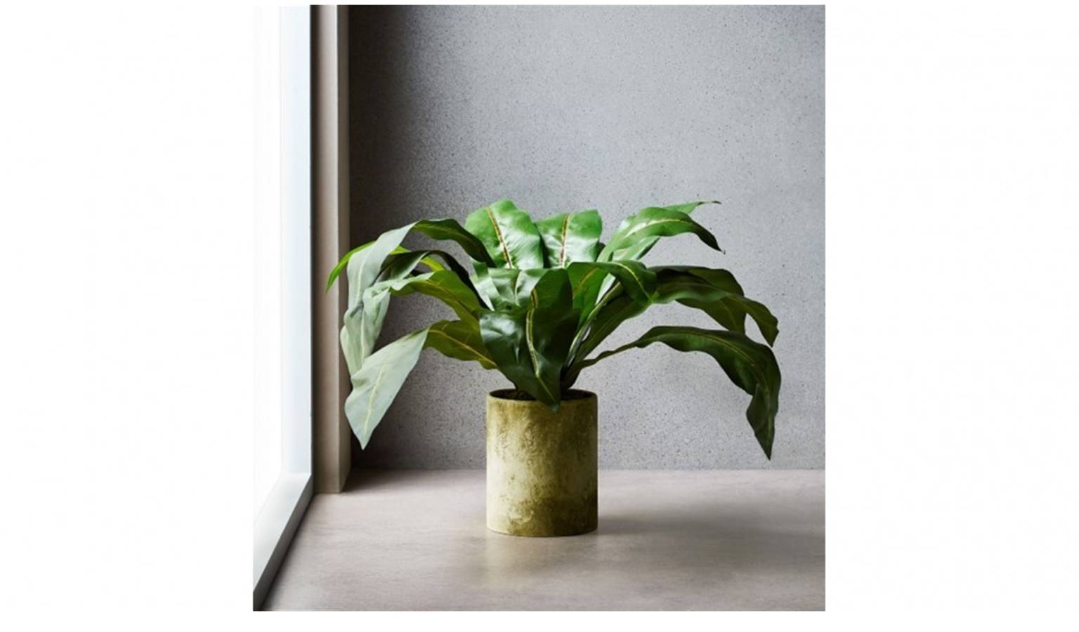 Tropical Leaves In Cemen Round Pot.jpg