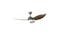 Mistral Space36-WD/GY 36" Space36 3 Blades Ceiling Fan - Wood/Grey