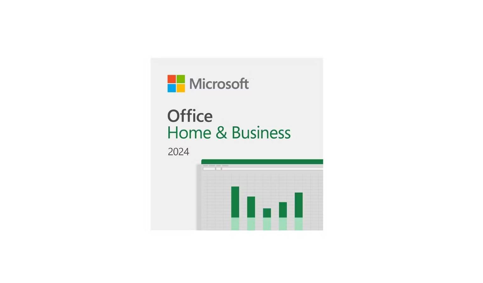 Microsoft Office Home and Business 2024 (EP2-06629)