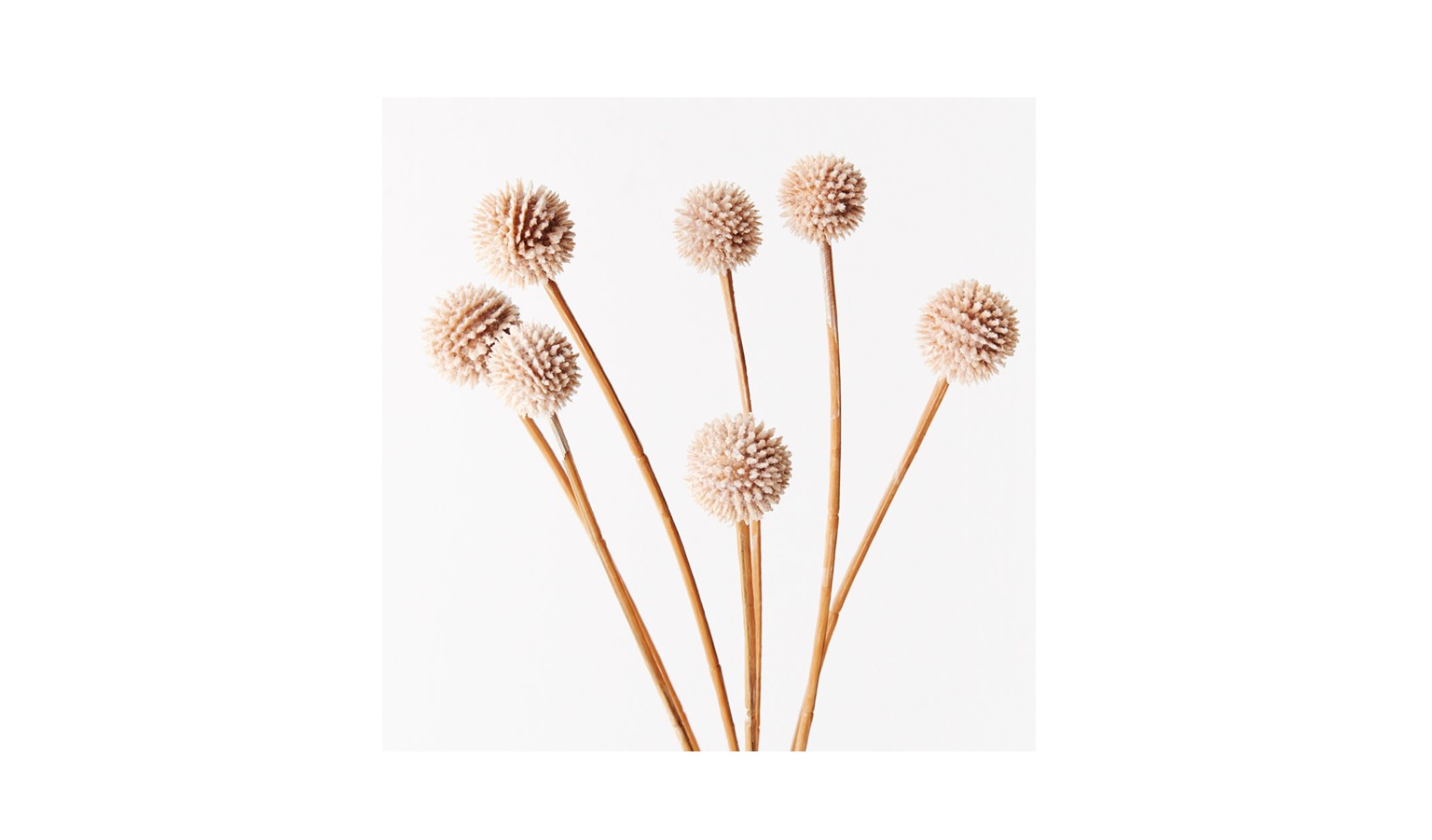 Billy Button Spray 62cm  - Sand