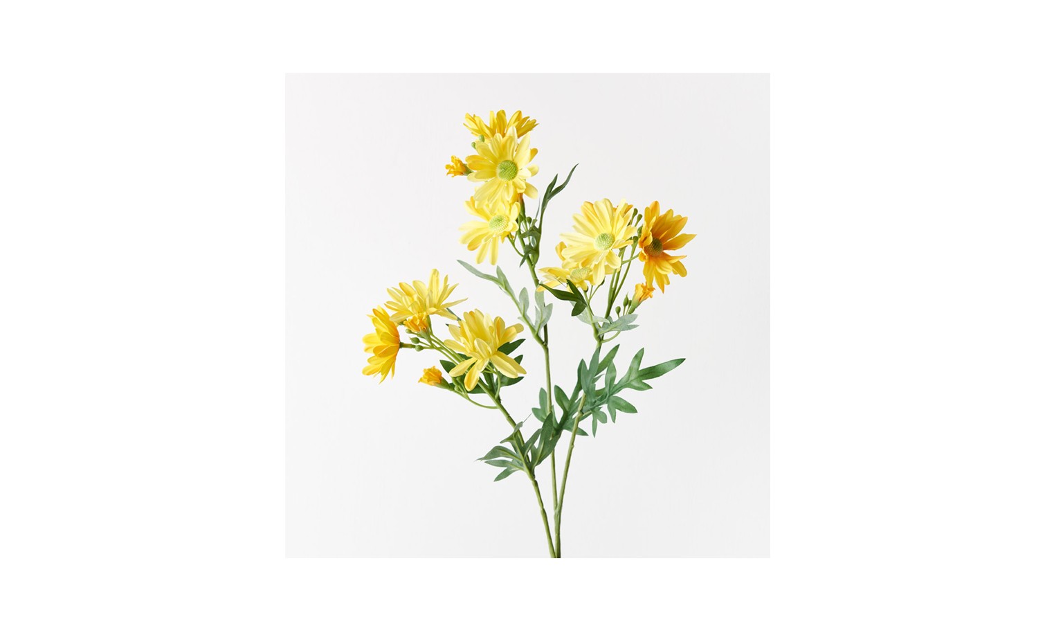Daisy Spray 73cm -Yellow