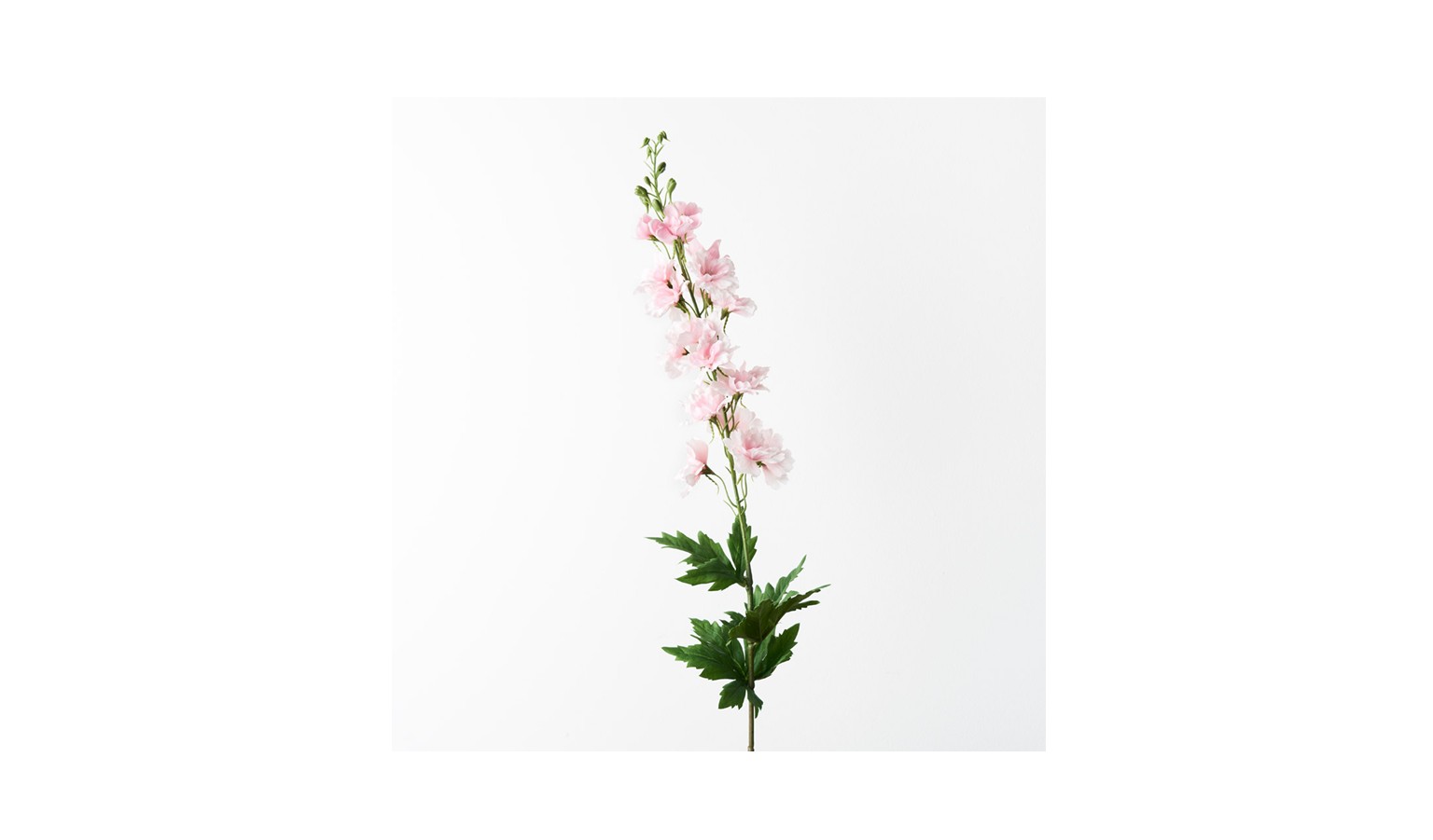 Delphinium Stem 90cm - Light Pink