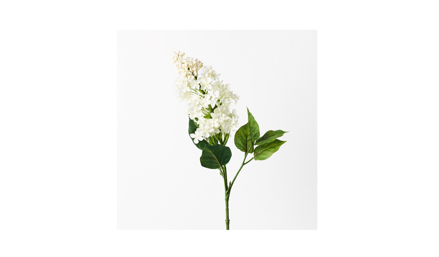 Lilac Spray 63cm - White
