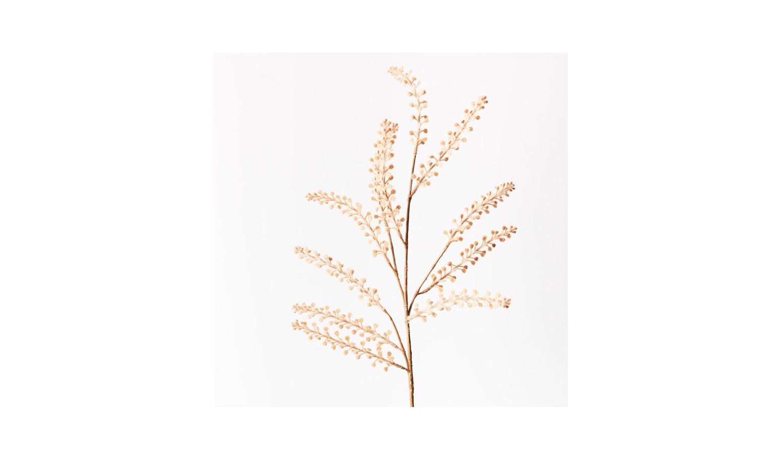 Peppergrass Spray 93cm - Sand