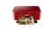 Canon PIXMA MG-3670 All-in-One Printer - Red (Main)