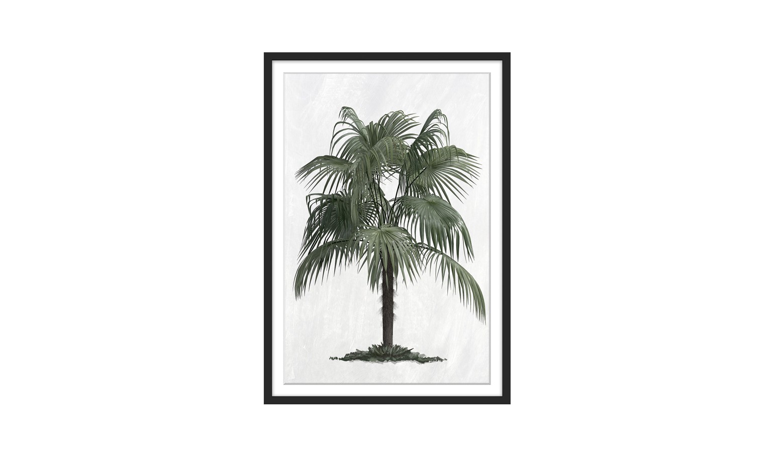 The Palm Tree Print