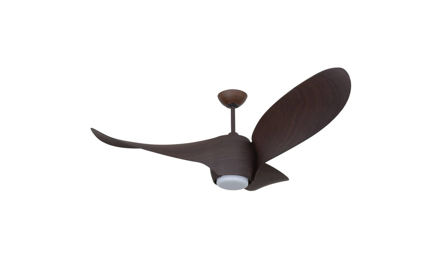 Fanztec FT-TWG-2 52" LED Ceiling Fan - Rose Wood | Harvey ...