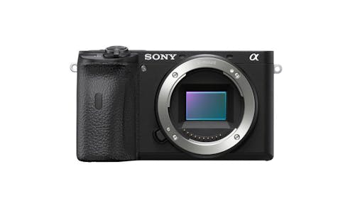 Sony Alpha a6600 Mirrorless Digital Camera Body Only - Black_01