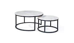 Lifestyle Acadian Marble Coffee Table - Large