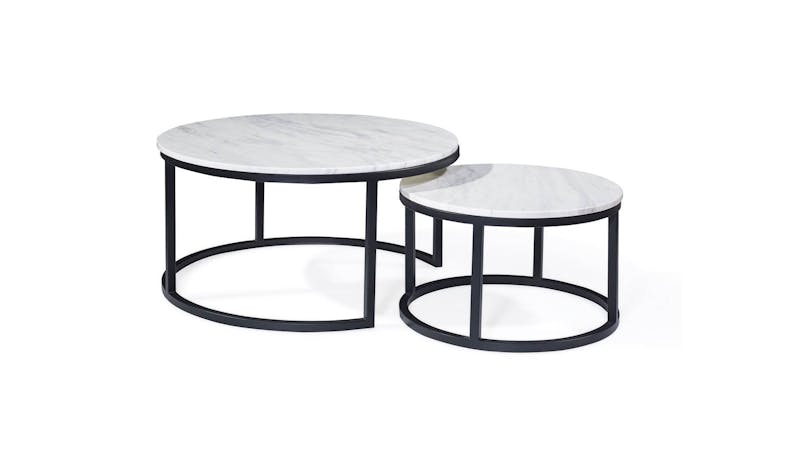 Lifestyle Acadian Marble Coffee Table - Small