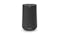 Harman Kardon Citation 100 Compact Bluetooth Speaker