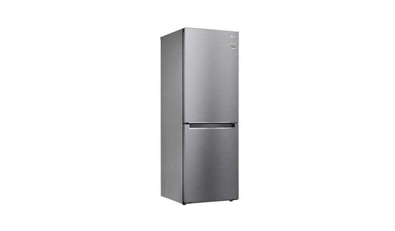 LG LinearCooling GB-B306PZ (Nett 306L) Refrigerator - Platinum Silver - alt angle