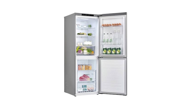 LG LinearCooling GB-B306PZ (Nett 306L) Refrigerator - Platinum Silver - inner alt angle
