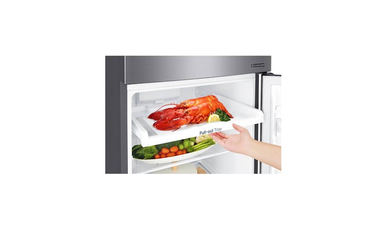 LG Linear Cooling GR-B2757PZ (Nett 253L) Top Freezer Refrigerator - Platinum Silver - inner