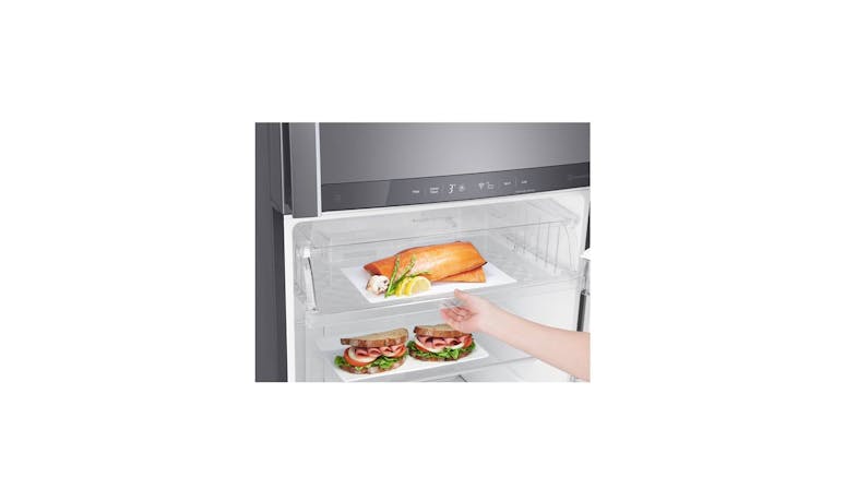 LG Inverter Linear Compressor GT-B4387PZ Top Freezer Refrigerator