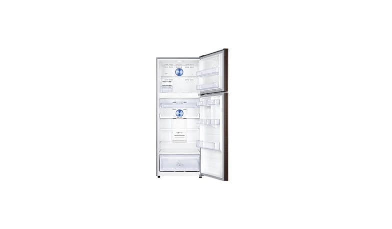 Samsung RT46K6237DX/SS (453 L) 2-Door Top Freezer Refrigerator (Opened View)