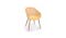 Home Collection Nassau Outdoor Carver Easy Chair - Honey (Main)
