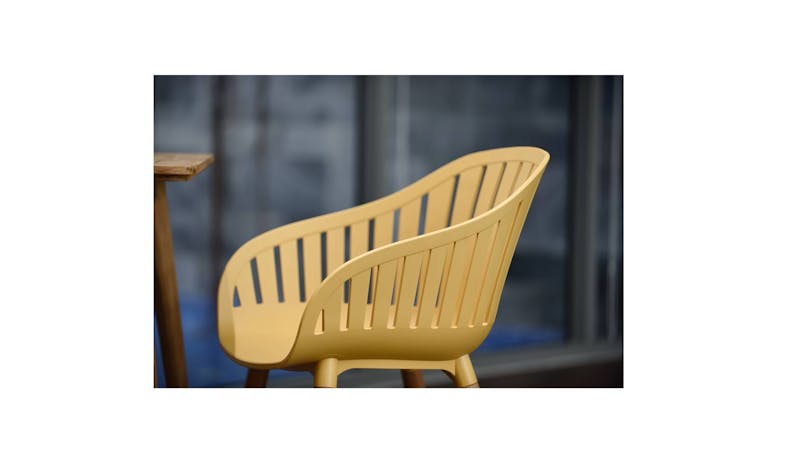 Home Collection Nassau Outdoor Carver Easy Chair - Honey