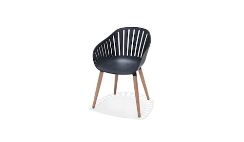 Home Collection Portals Outdoor Nassau Carver Easy Chair - Black (Main)