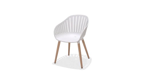 Home Collection Portals Outdoor Nassau Carver Easy Chair - Main