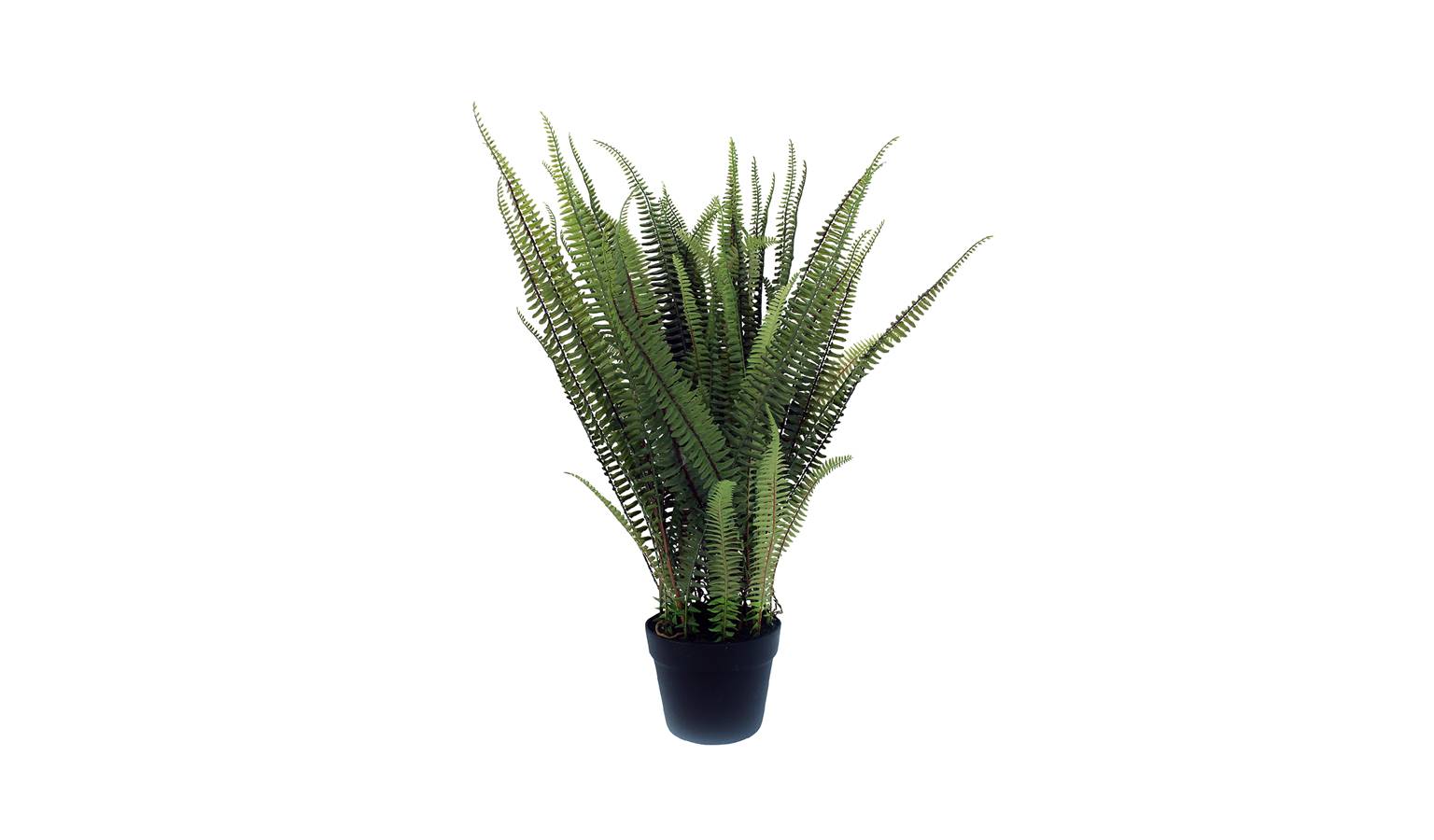 Fern In Plant Pot - Black ART101 (Main)