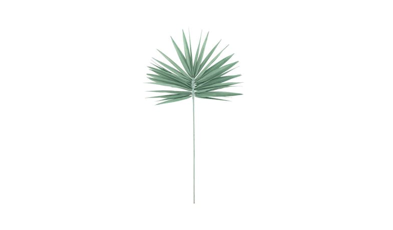 Palm Fan Sage (FW102GR) - Main