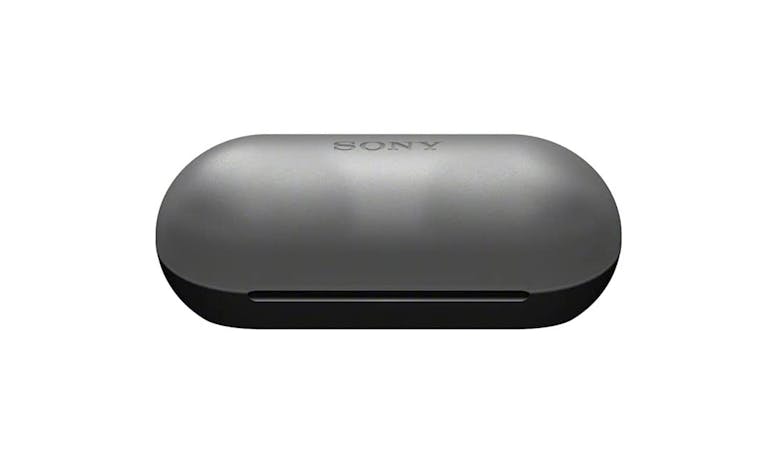 Sony Truly Wireless Headphones - Black (WF-C500) - (01)