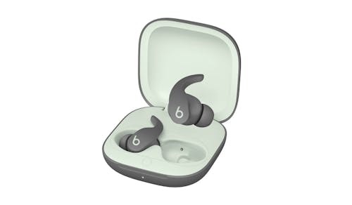 Beats Fit Pro True Wireless Earbuds - Sage Gray (IMG 1)
