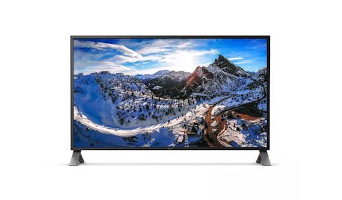 Philips 43-inch 4K Ultra HD LCD Display with MultiView (438P1)
