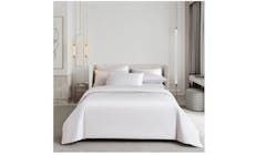 Canopy Nox Bed Sheet - White (King Size Set)