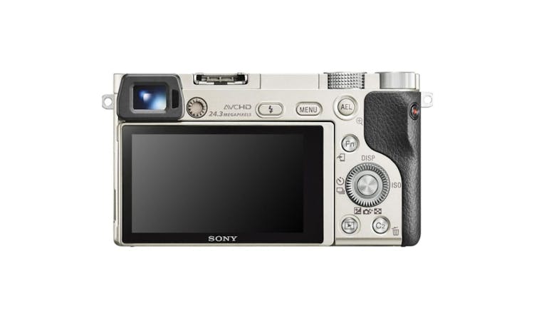 Sony Alpha 6100 APS-C Camera with 16-50mm Power Zoom Lens – Silver (ILCE-6100L/SAP2)
