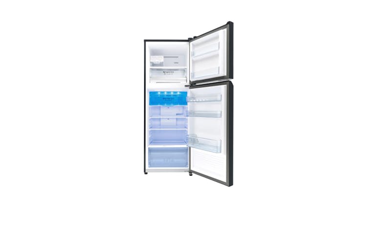 Panasonic 306L 2-door Top Freezer Refrigerator NR-TV341BPKS