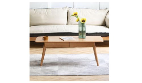 Moss Coffee Table with 2 Drawers 120cm