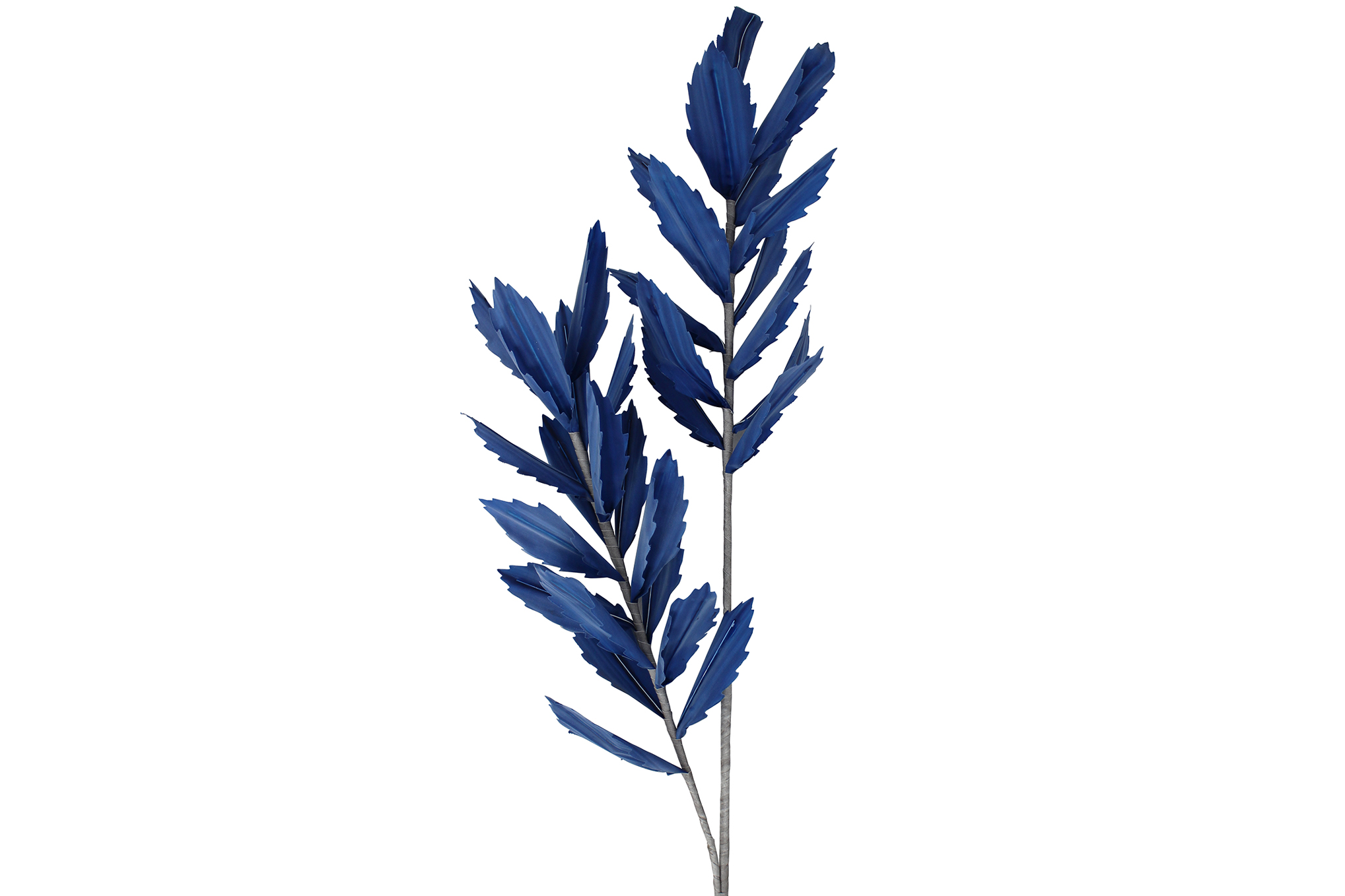 Nicholas Fern Branch Nicholas - 01